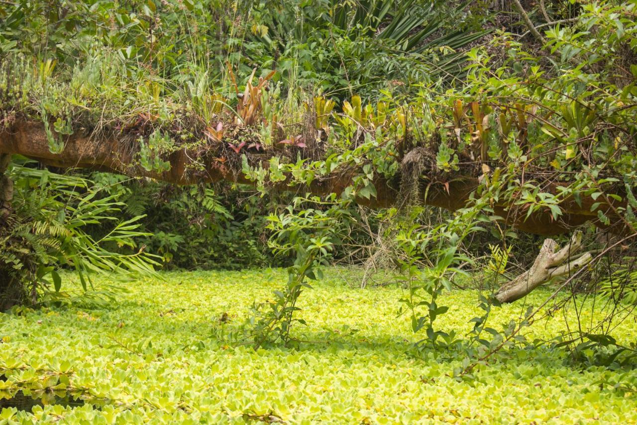Pousada Flor De Acucena Игату Экстерьер фото